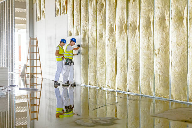 Best Blown-In Insulation  in Melbourne, FL